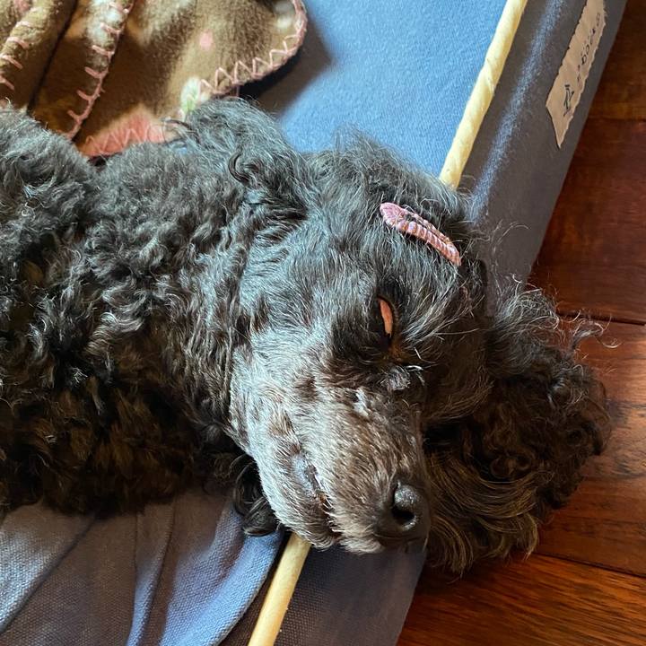 Cbe315c7 5216 499a b91e 7bbd2cb927b1 1662266121319