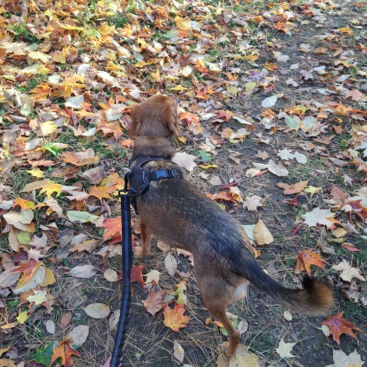 Cbe385aa e8e7 4930 bb56 b2690a6ad648 1762382352794