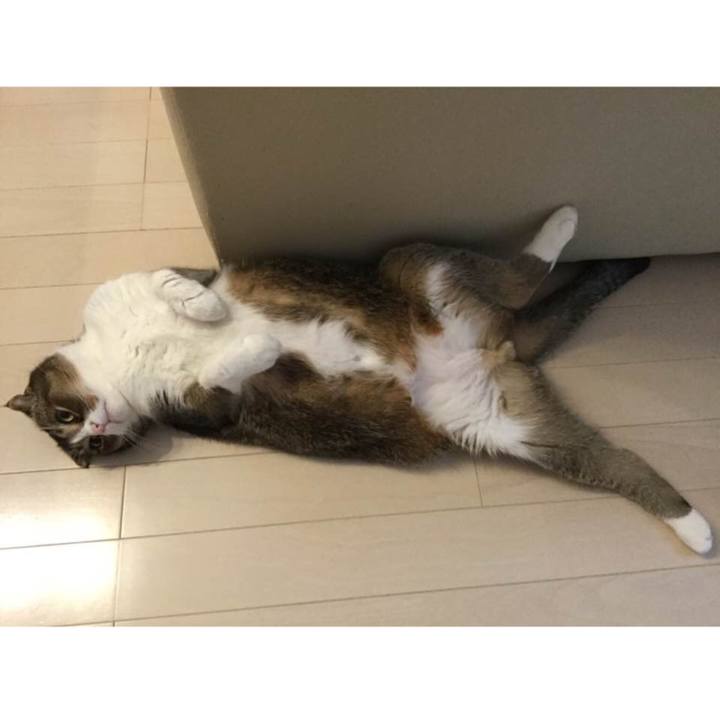 Cbe38d89 725e 443e 9059 3177cea992ad 1547597661827