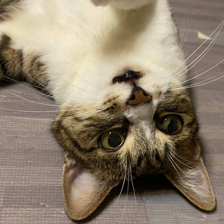 Cbe3ab2e 5335 45a6 8981 4249f3b0f061 1623551988271