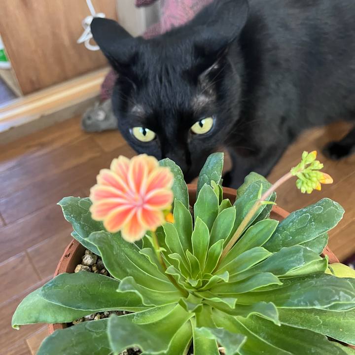 Cbe3d1c5 3114 42dd 921d 8a55983885ab 1686875745650