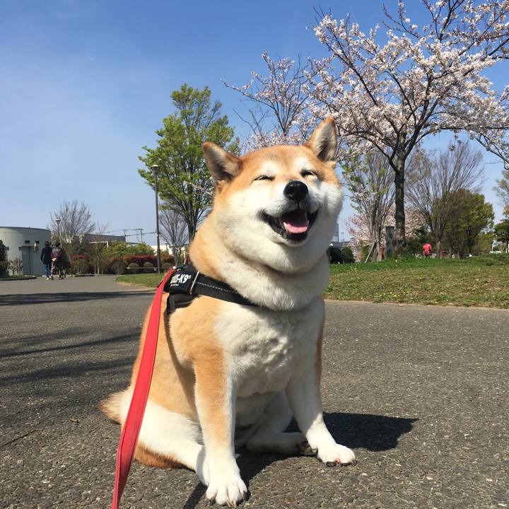 Cbe3ea91 6ffb 4795 9854 6c60b9174dd7 1616810672783