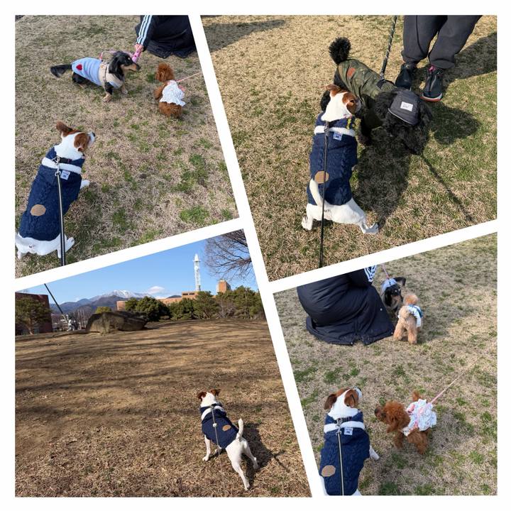 Cbe3fb29 83d7 451c 95a0 a7e29ca595e7 1773051161161