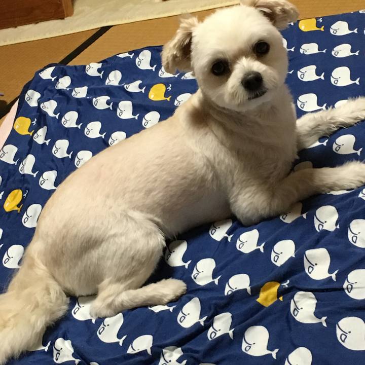 Cbe411f4 8350 4ad1 831c fdde6b47591a 1534327904193