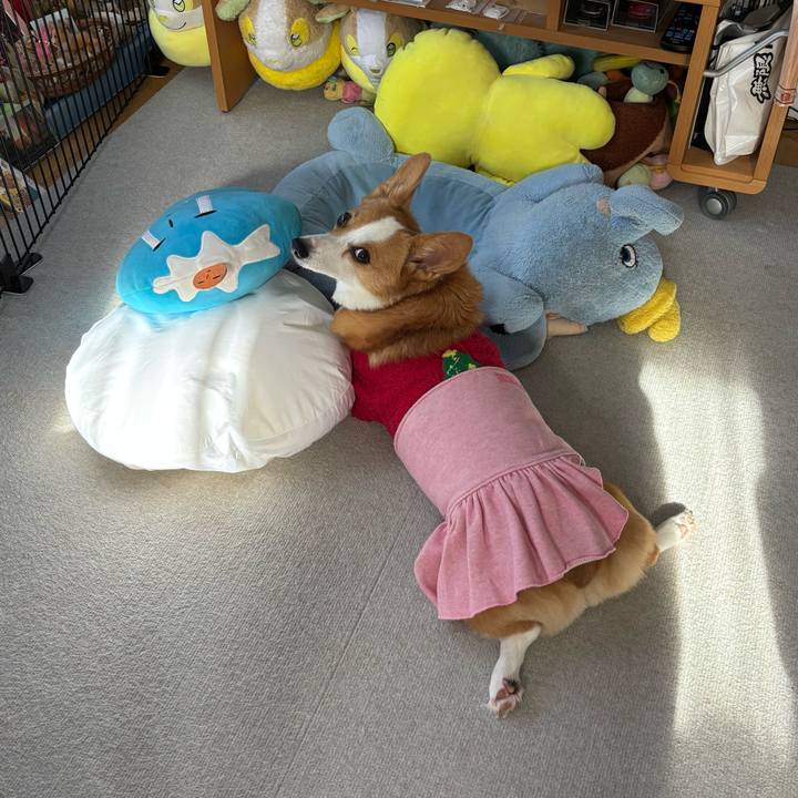 Cbe42acc 710e 4c00 babf 81e35dee9cef 1766110940466