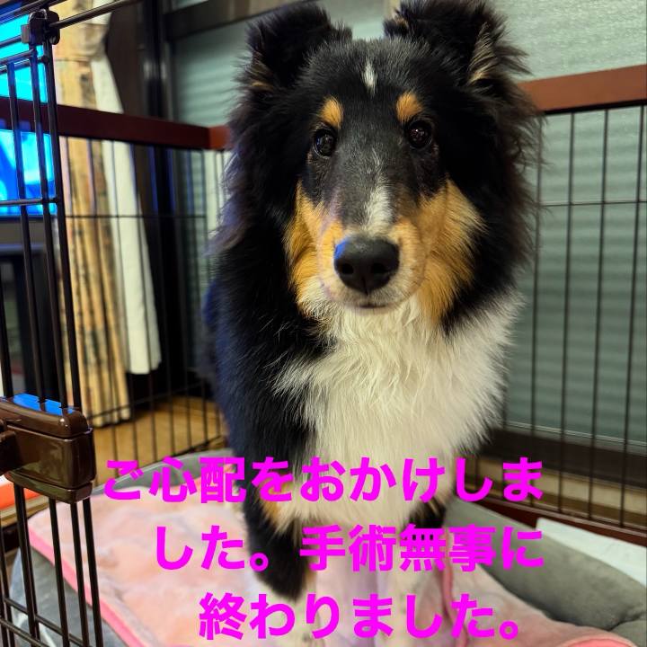 Cbe441ff b784 4dde a758 6f631debe275 1736092008109