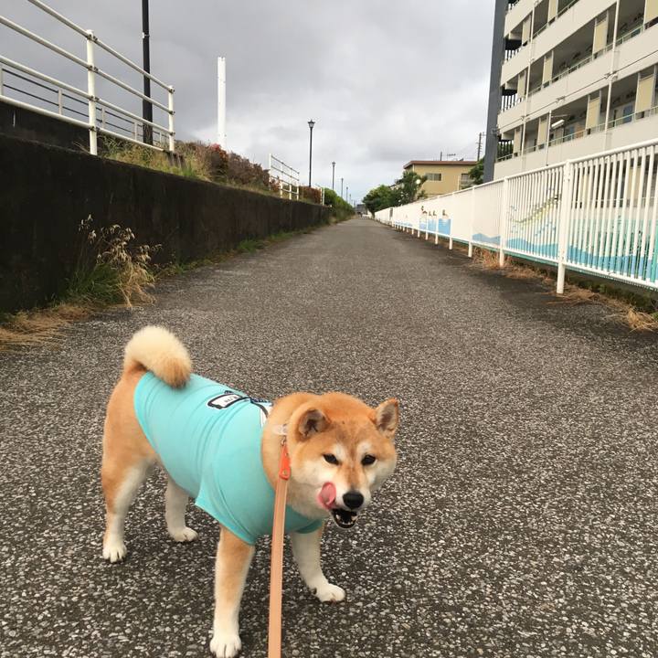 Cbe4a214 dc51 4701 b80e ec71cce85886 1561198440588