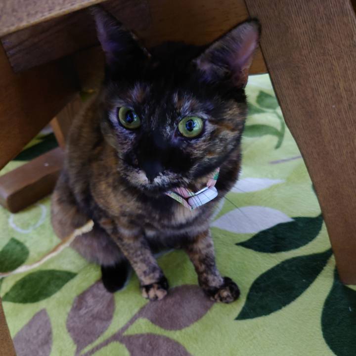 Cbe4ae07 d54b 4758 aa59 c5256e4a08bb 1635515604383