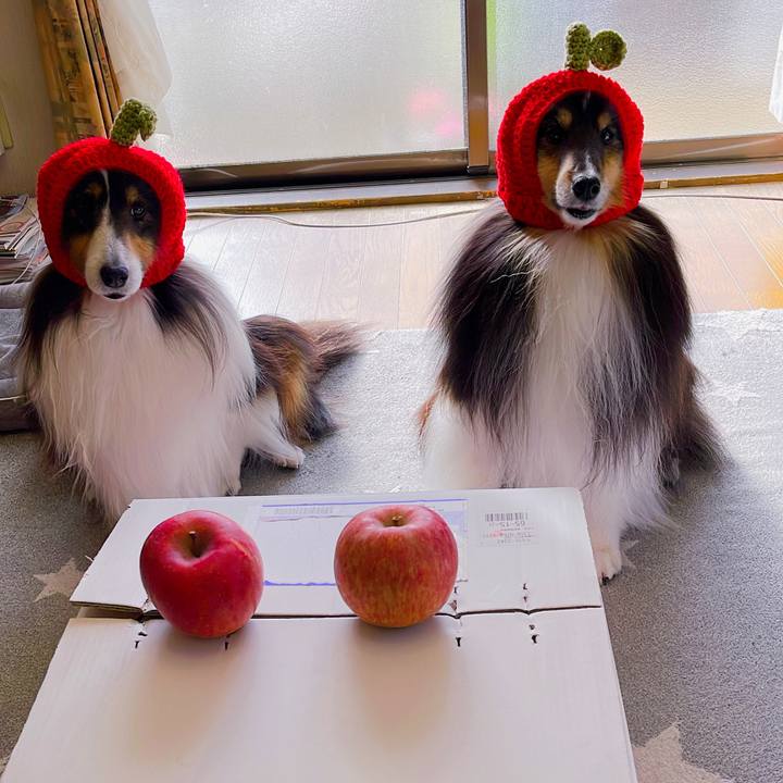 Cbe4b07a 4b4e 4bb8 ae74 6ea75802c5a5 1640510527508