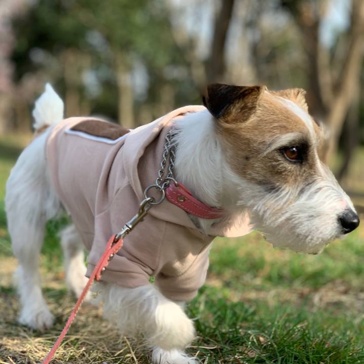 Cbe4b171 ecd2 473a b624 1145a3b85b28 1615894012089