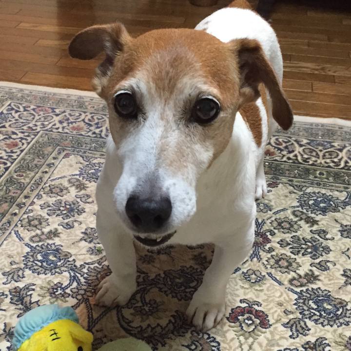 Cbe4b475 76bd 4d56 aa19 39aaef9d4088 1533823228673