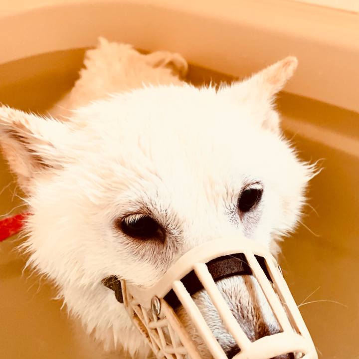 Cbe4e077 2eae 4f37 956d 399e46d24d4b 1656027595765