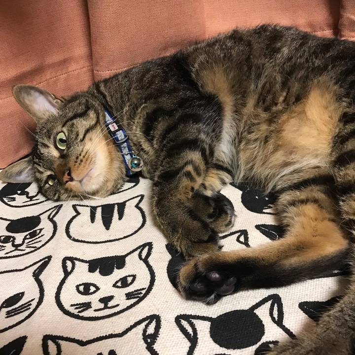 Cbe504fd 9a24 48fe 92ae 08a1c180cab0 1569591999801