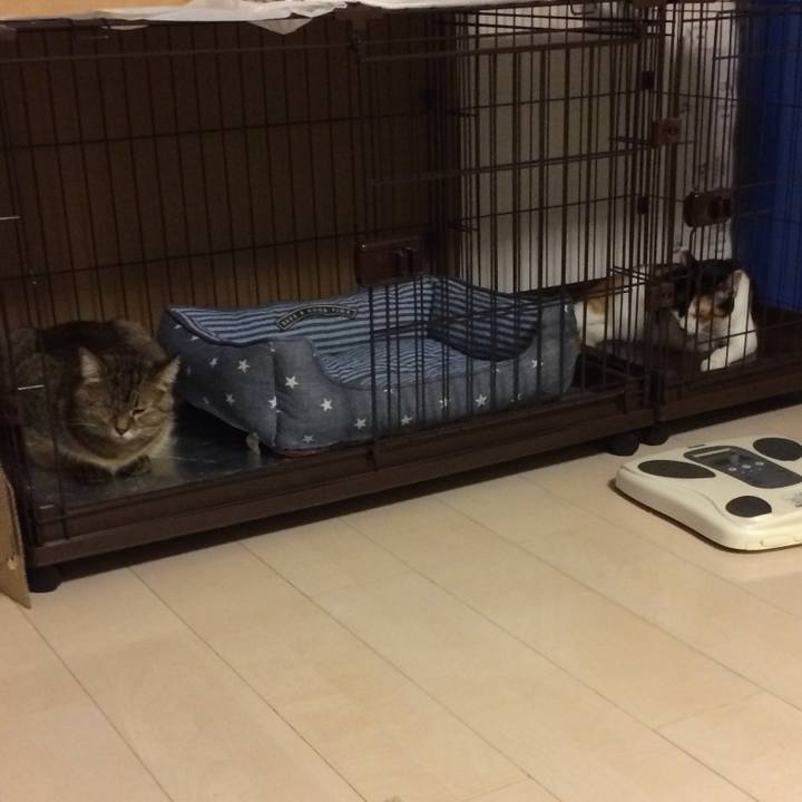 Cbe56a89 707d 4737 8b90 5a93e8713efb 1584142076266