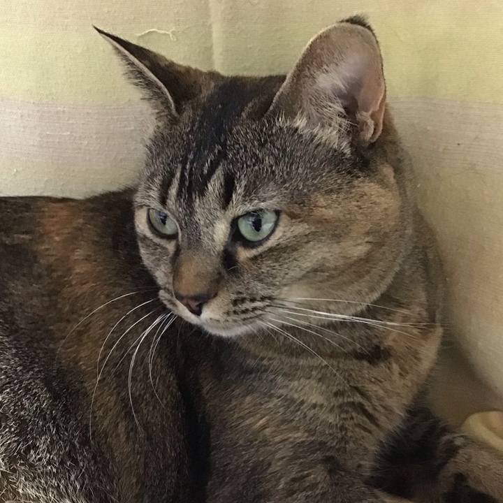 Cbe56c3e 2e6a 4974 8f49 c27e9b551ed9 1708158851315