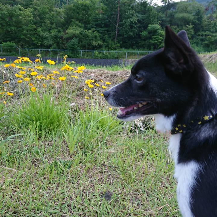 Cbe56d64 5c63 407c b9d1 795e65ef9a54 1529929593884