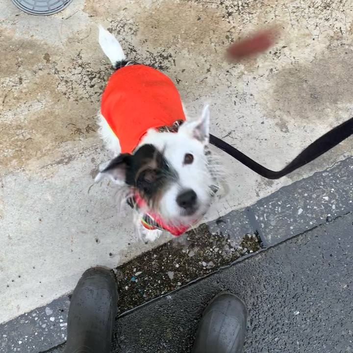 Cbe59c6f a2f9 4380 9fb6 2529d47f1ec5 1669167137003