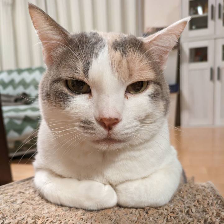 Cbe5e079 8f3b 45df 957c 11607b9334fe 1706500171617