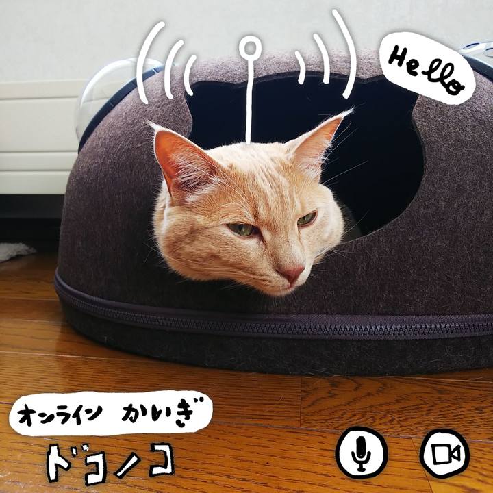 Cbe5e07a 9556 4ff5 bcdd 722a322f1854 1592020402237