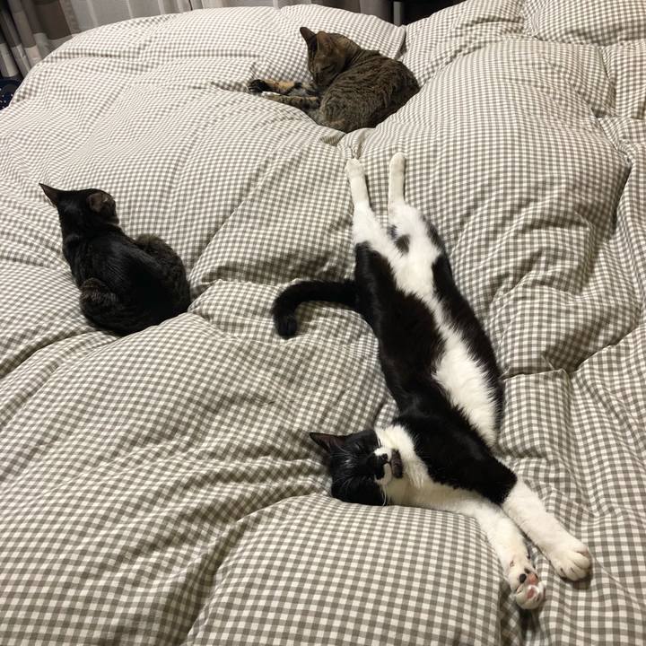 Cbe5ec45 8012 4861 9dcc a5dd5f36cac7 1548680355051