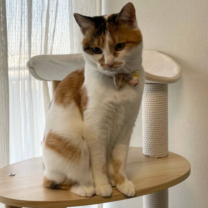 Cbe6168e 2304 4f38 91ed bd333c7637c8 1639611459278