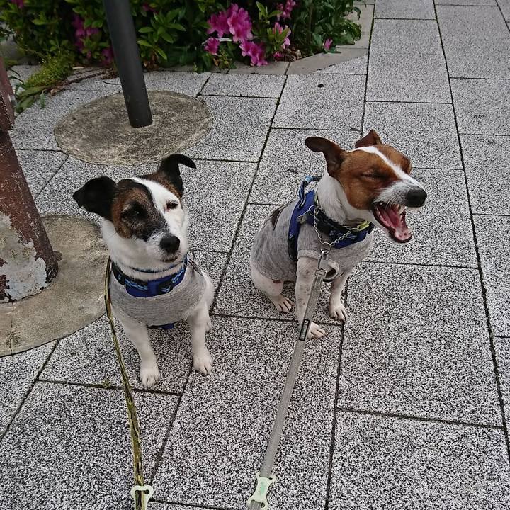 Cbe62b6d 5f08 4296 96bf 41b79128bd35 1587936089169