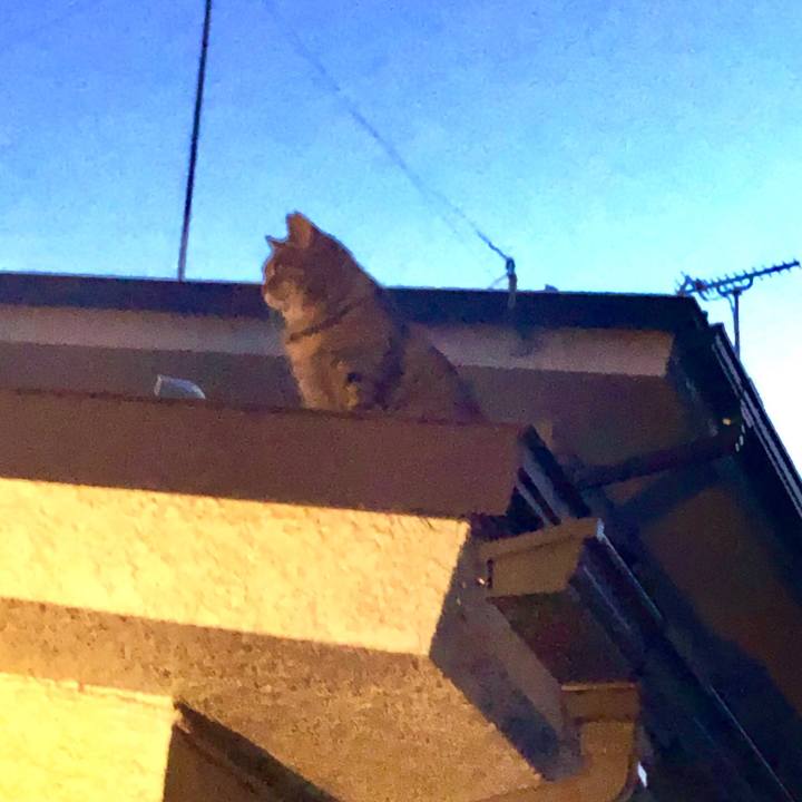 Cbe67fdb 9f38 4191 8686 60ebf00be6fa 1544430615138