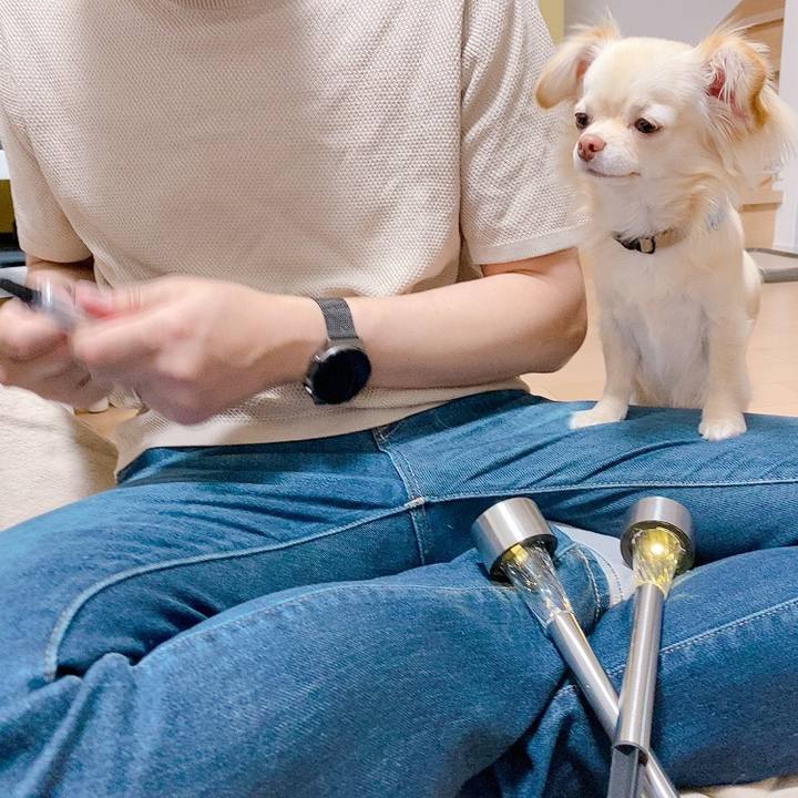 Cbe6a895 14e4 4e41 ae6d d946d177f6c8 1619269177326