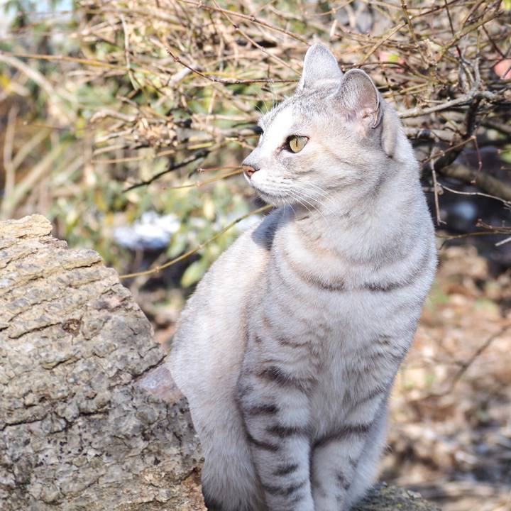 Cbe6b89c df81 45f4 80f6 4569f7eae56a 1771758486028