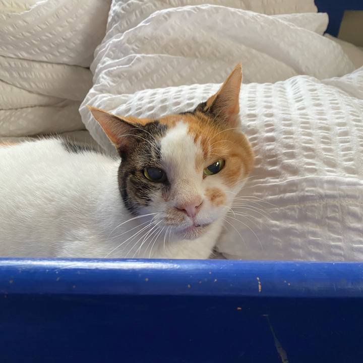 Cbe6d7a5 98c2 40c9 88f0 fef4c68d1781 1699693586146