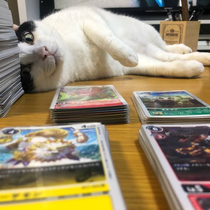 Cbe7245d b9a4 4517 9ff0 15b8e334a32c 1595041181416