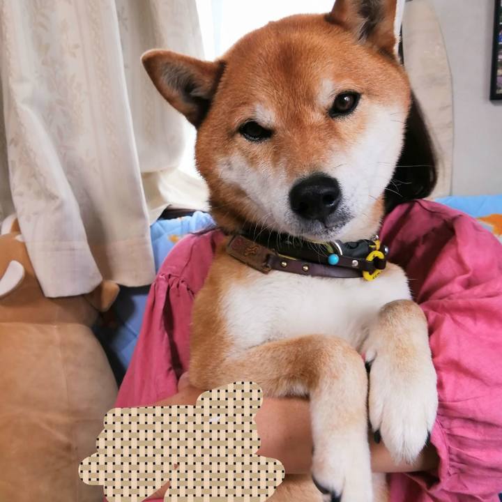 Cbe73ad7 a530 4fb5 88b8 c7d58a071549 1619655928319