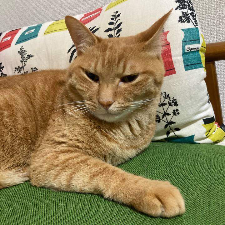 Cbe75525 1631 4906 b02f 9ed89252580f 1756388171053