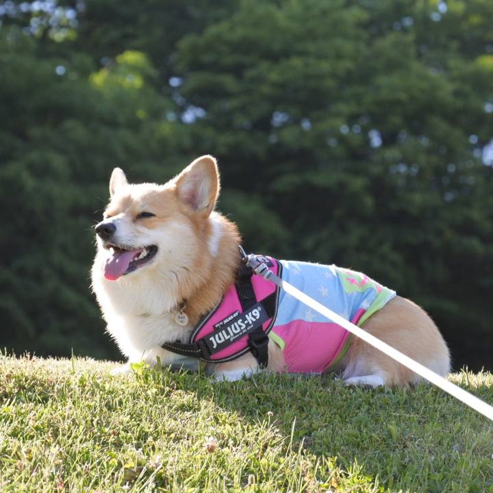 Cbe78ce8 1bcd 4985 b7e6 6f98f6f08a02 1590845643300