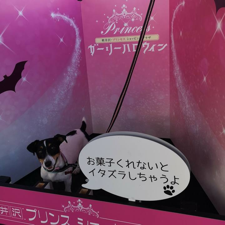 Cbe79eeb 2e37 4e36 9123 d696ebb7238e 1540728918863