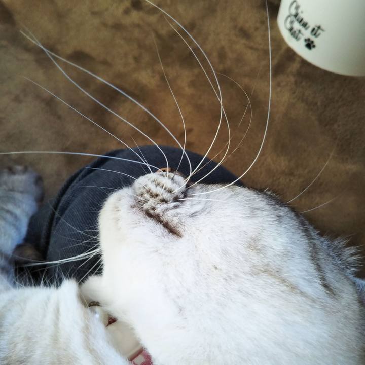 Cbe7ab66 422e 4119 a9ba 68533bc53155 1615684226661