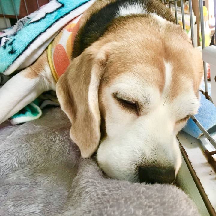 Cbe7c0b0 6dc8 49fc ab7a d68f3b7d748b 1767417269897