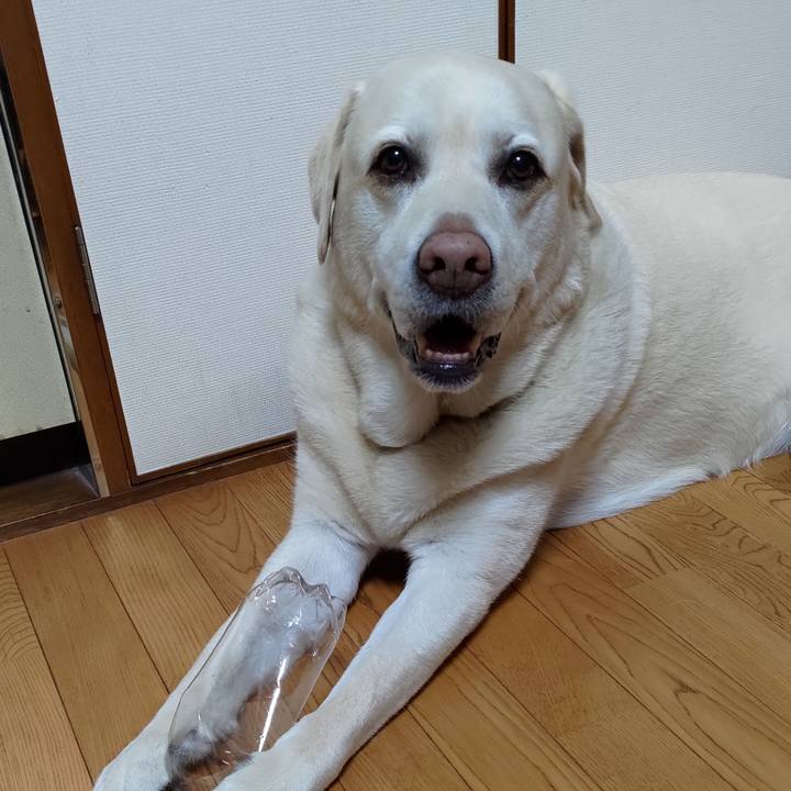 Cbe7d18e 0e6a 4355 a005 ce6e7d8c6731 1715819516697