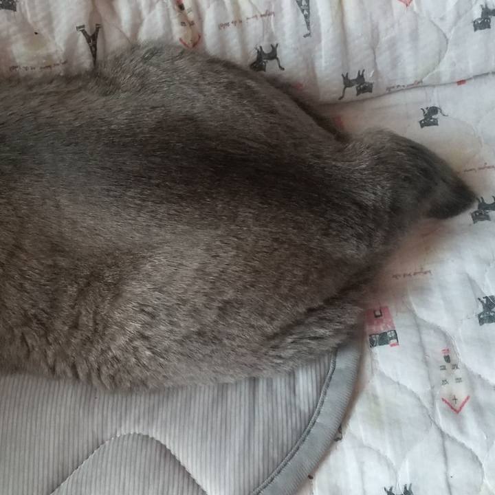 Cbe802dc a4f9 4d12 bfb8 607cd375ddf2 1660089209778