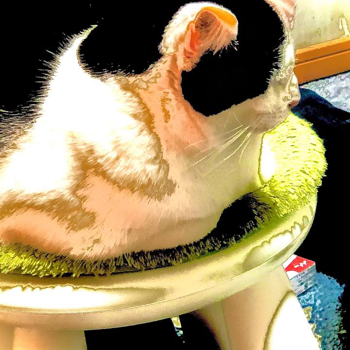 Cbe82539 27ef 4bde 868a 07822f1a4d91 1578749828793