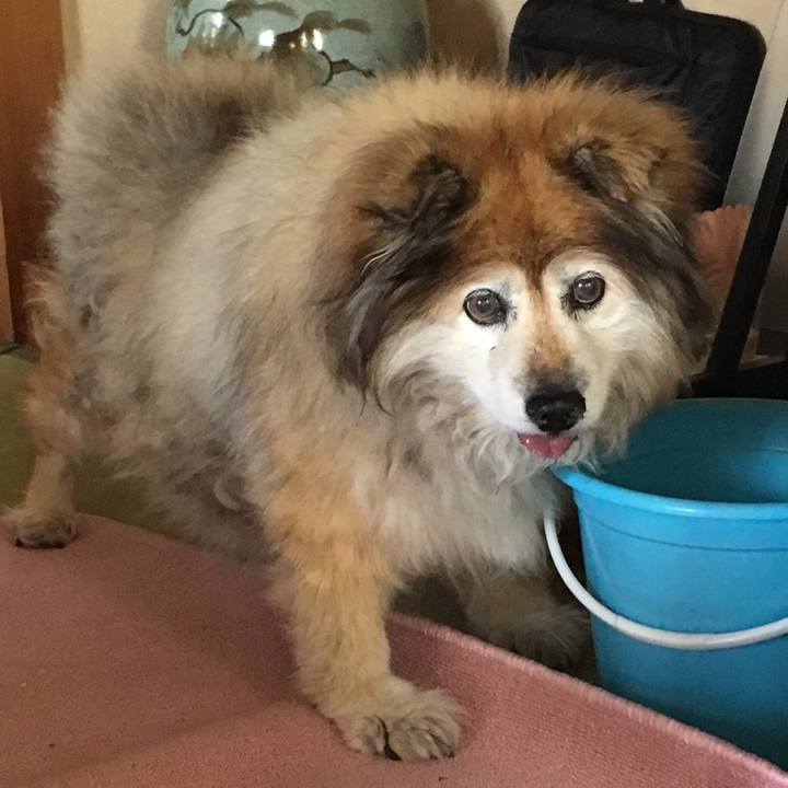 Cbe84571 ae52 4073 b668 15cfff7a925f 1567099787221