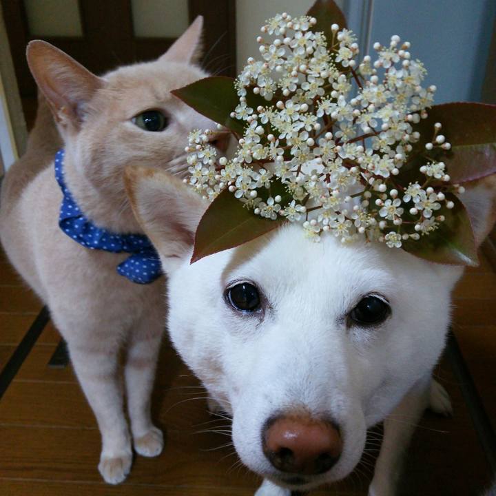 Cbe854e1 28a2 406a bf66 dbdf10fe1804 1557792852721