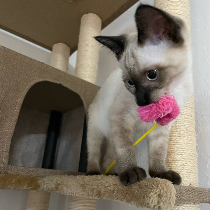 Cbe86171 e324 4cae 96f3 9c0b9a84d10b 1690660343143