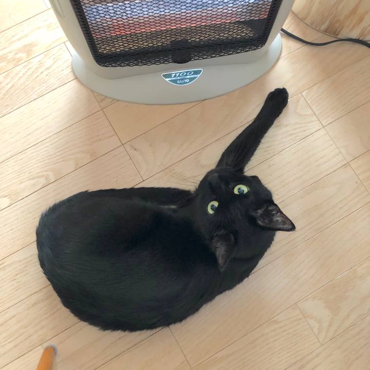 Cbe868e8 a501 43a4 b386 01f5acdb97b1 1544928350026