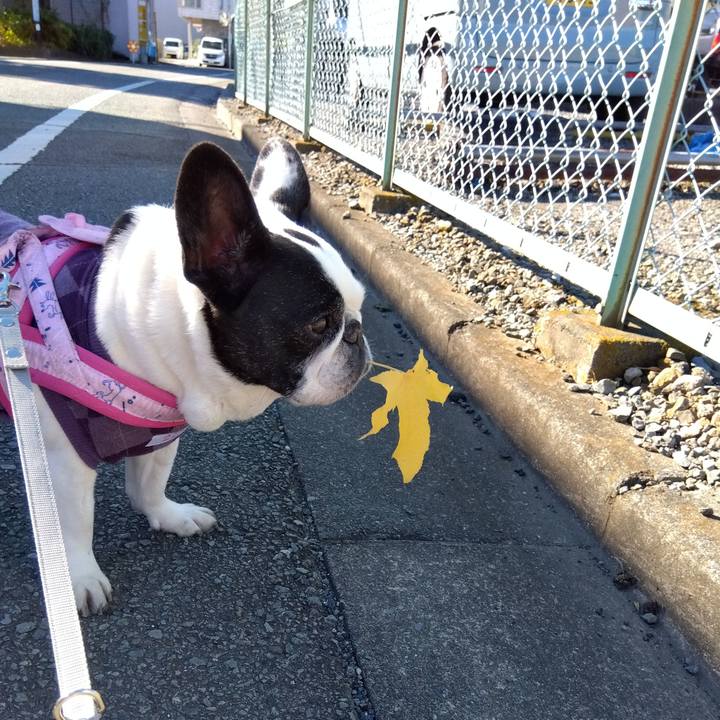 Cbe86957 e59a 4a30 b217 5ab39e211761 1699879941288