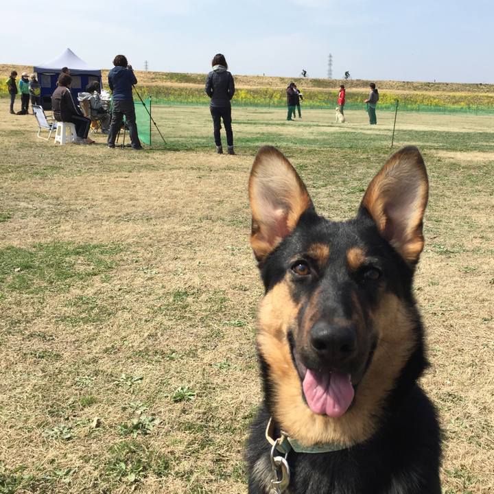 Cbe87db4 3e1b 4f75 adcf 0c9224a482fa 1521361718468