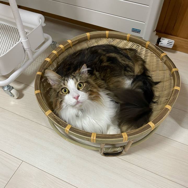 Cbe88c2c 6828 4b67 b09a 0e1c631b39ea 1658518853770