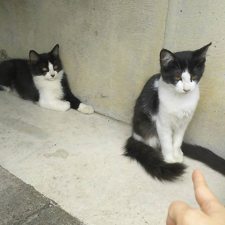 Cbe8a3f6 a325 46f5 b3bf f7e86ac104b3 1563680342168