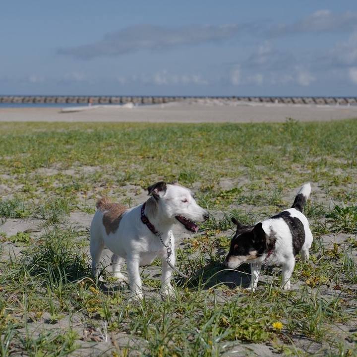 Cbe8b57d 2832 4ed0 8c10 691d92065a58 1560398115472