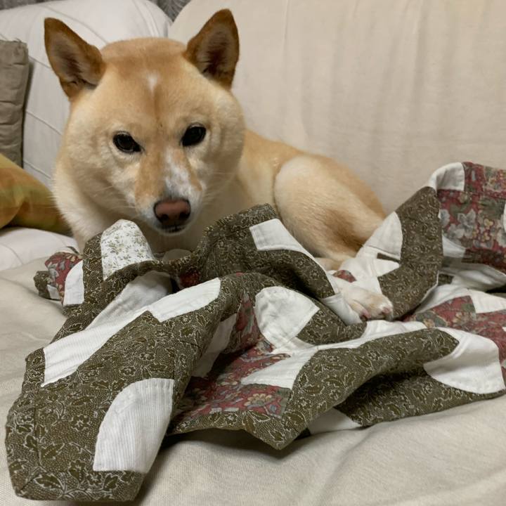 Cbe93c63 72ff 466e 8061 595cdc8650ad 1625225409084